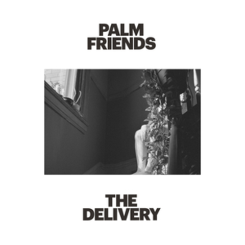 Palm Friends