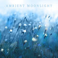 Sleep Soundly