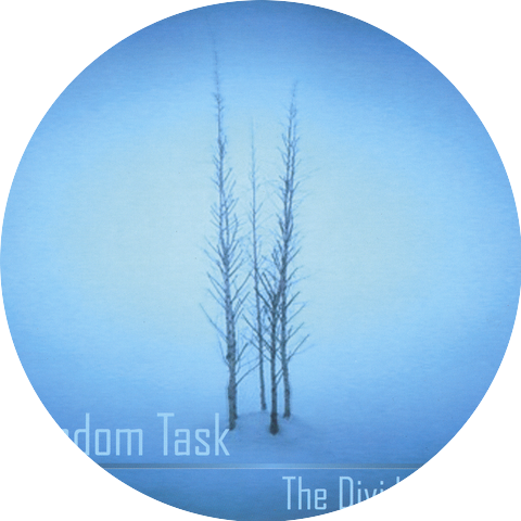 Random Task