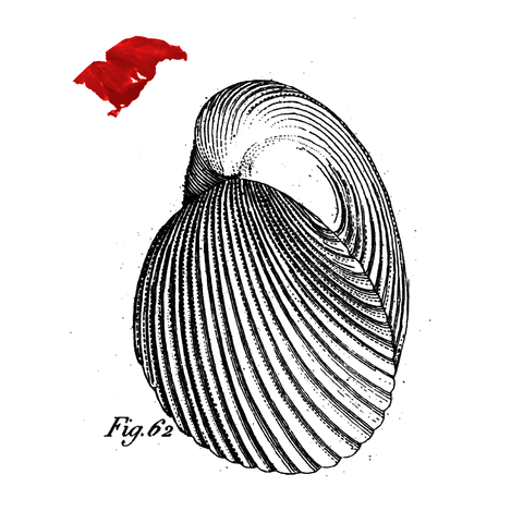 Petter Eldh & Koma Saxo