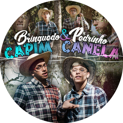 MC Brinquedo & Mc Pedrinho