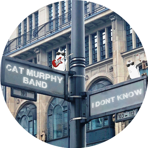 Cat Murphy Band