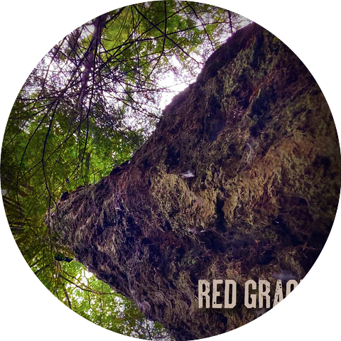 Red Grace