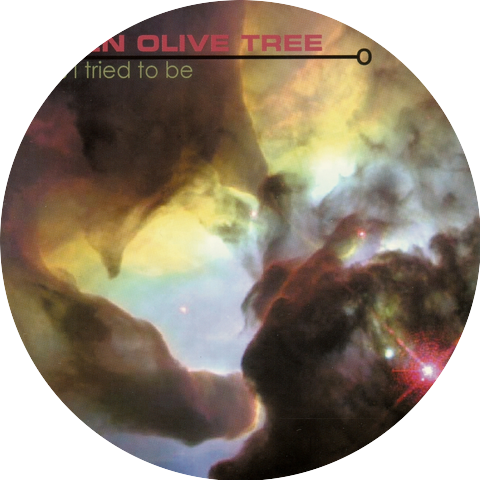 Green Olive Tree