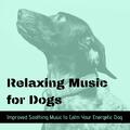Relax for Life & Music for Dogs Collective