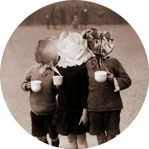 Фалафель на Углах