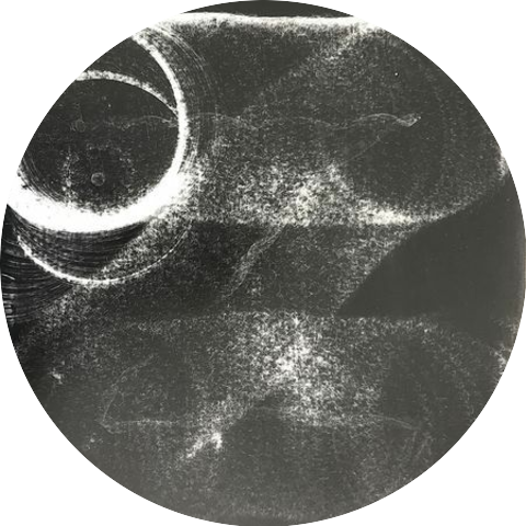 13 million year old ghost