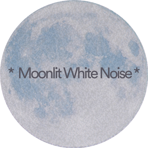The Background Noise Company