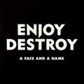 Enjoy Destroy