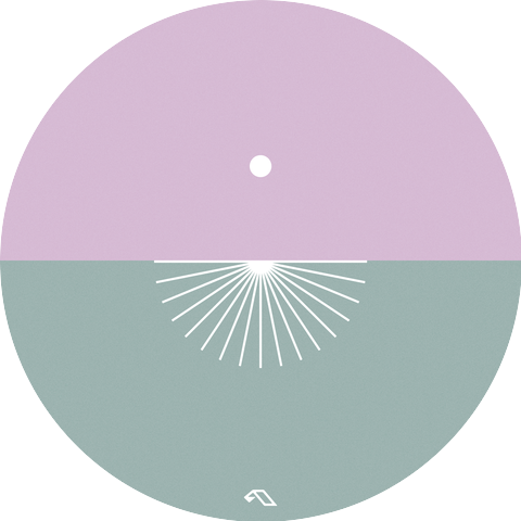 Amy Root