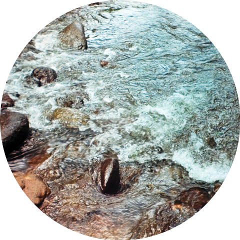 Askarweda