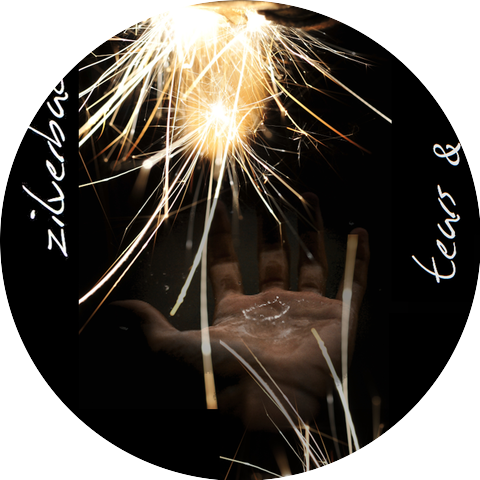 Zilverbacks