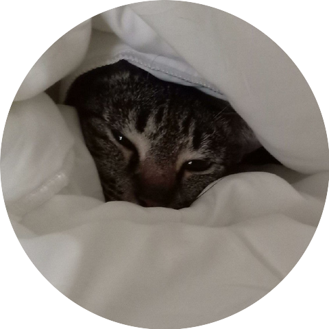 Capoxxo