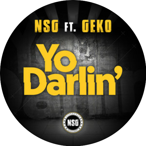 NSG & Geko