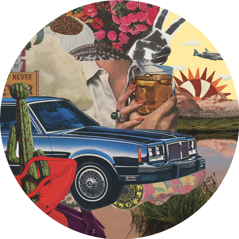 El Camino Acid