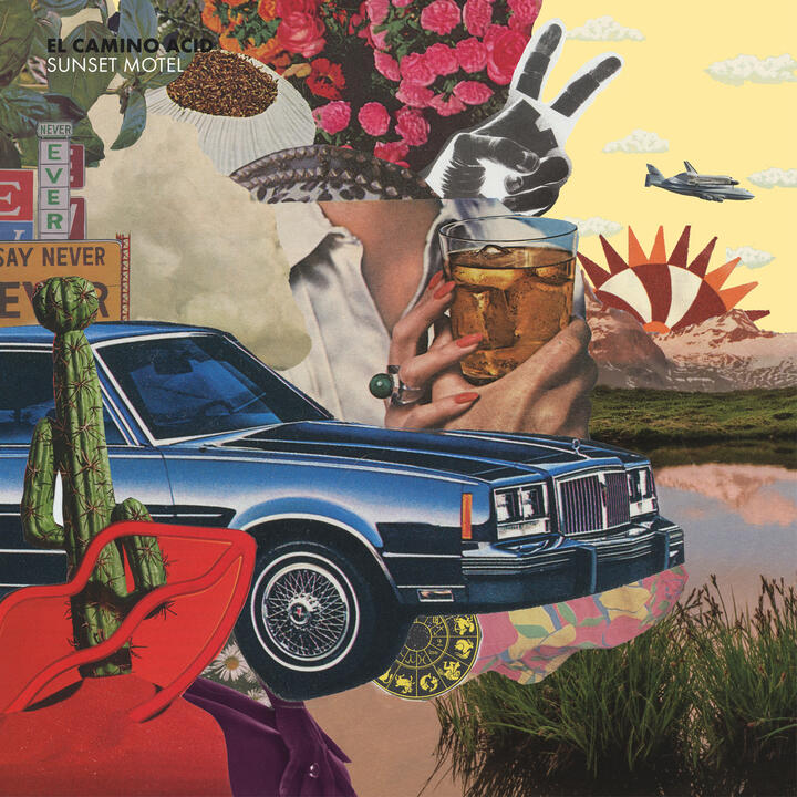El Camino Acid
