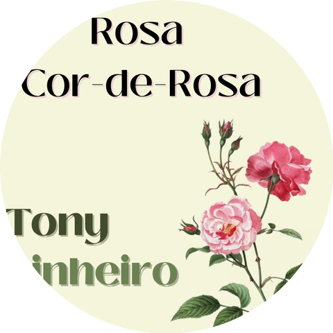 Tony Pinheiro