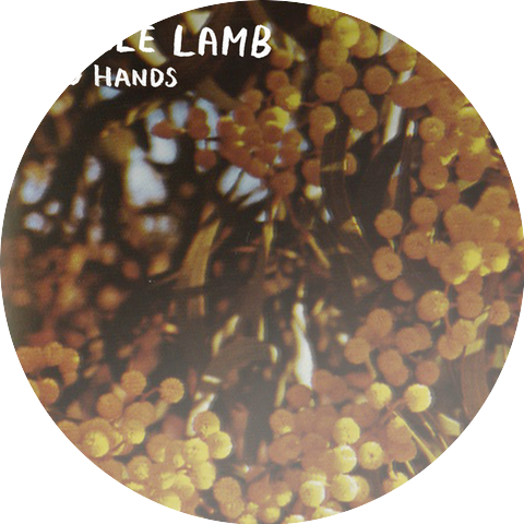 Jungle Lamb