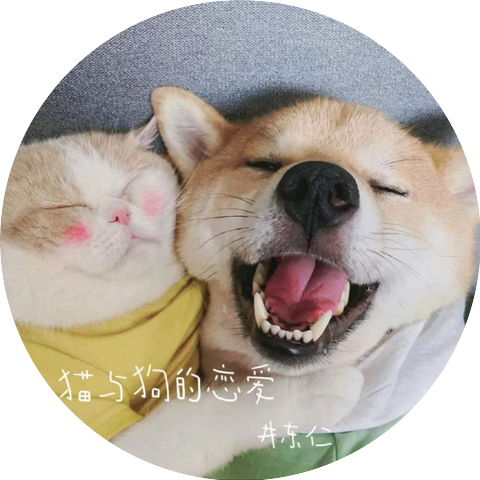 井东伟