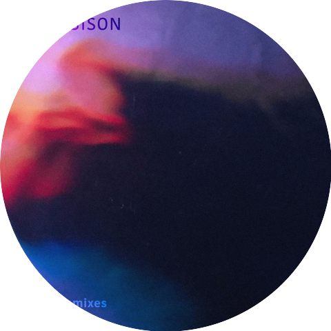 BisonBison