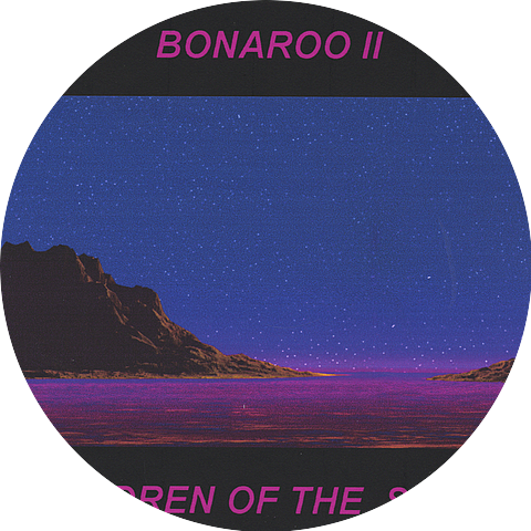 Bonaroo II