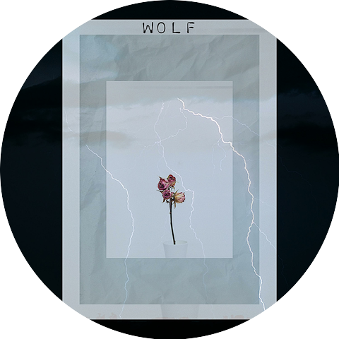 Hbk Wolf