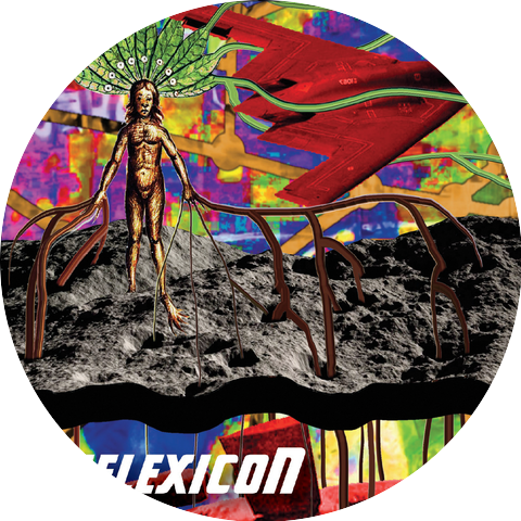 Reflexicon