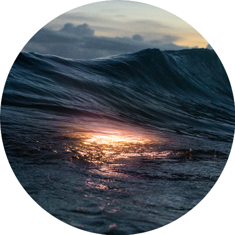 The Belonging Co & Andrew Holt