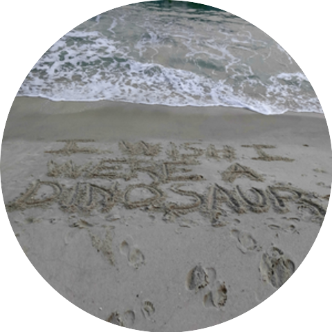 I Wish I Were A Dinosaur & Former Fat Boys