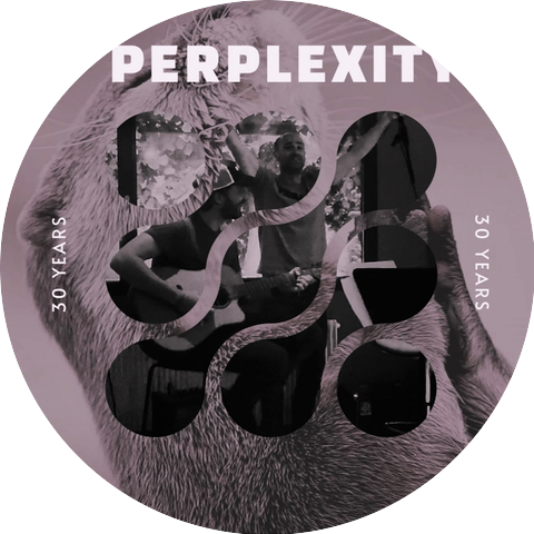 Perplexity