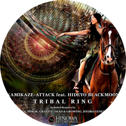 Kamikaze-Attack