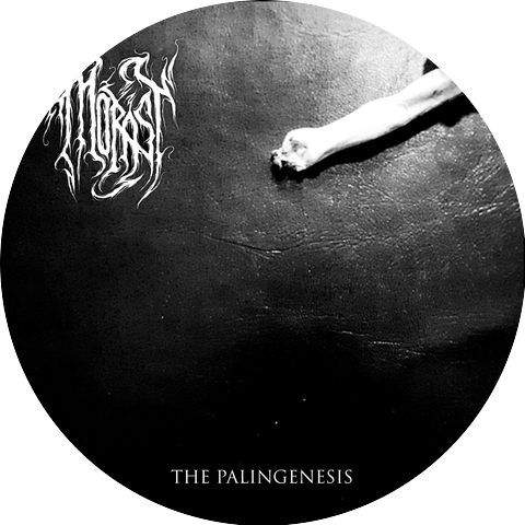 Morast