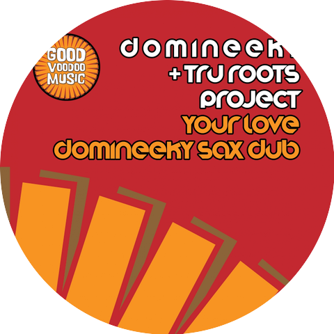 Domineeky & Tru Roots Project