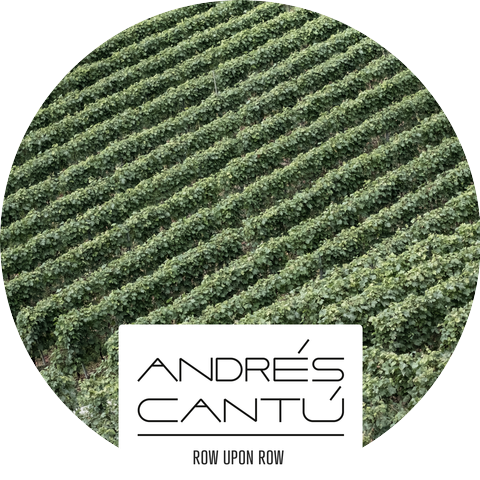 Andrés Cantú