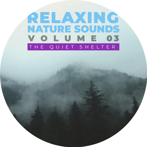 The Quiet Shelter