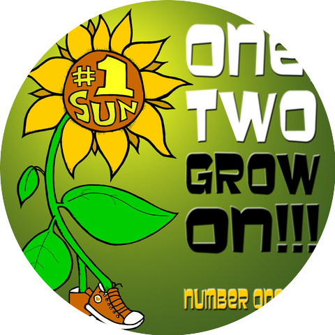 Number One Sun