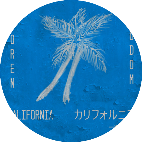 Soren Odom