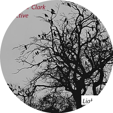 The Arthur Clark Collective