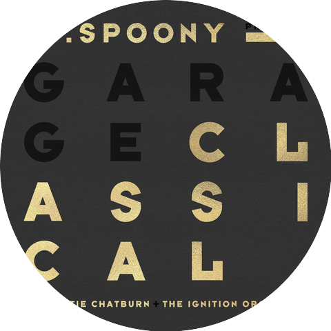 DJ Spoony