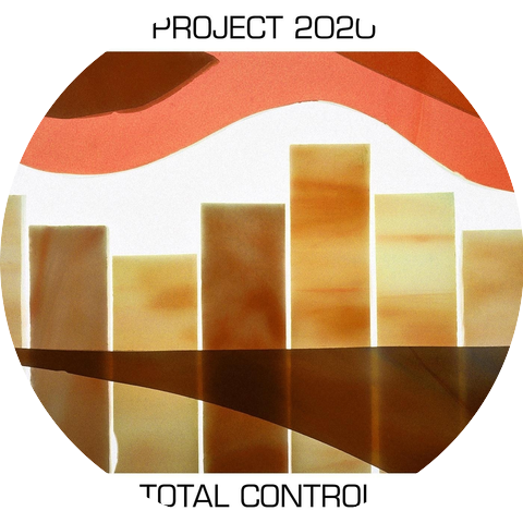 Project 2020