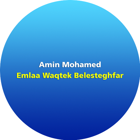 Amin Mohamed
