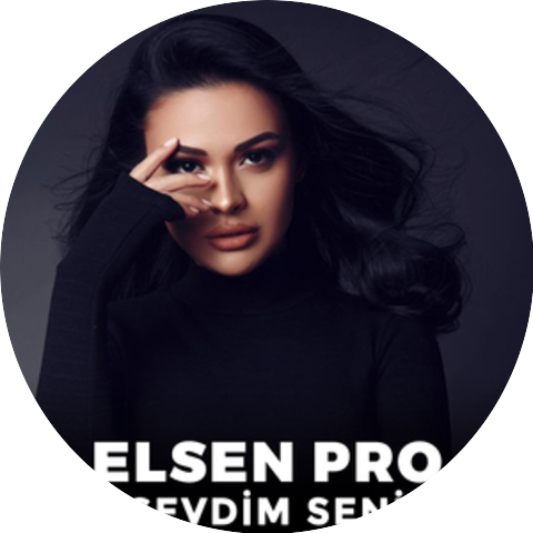 Elsen Pro