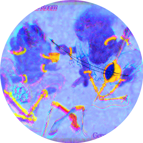 Generic Prescription