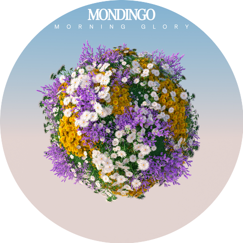 Mondingo