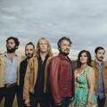 The Black Lillies