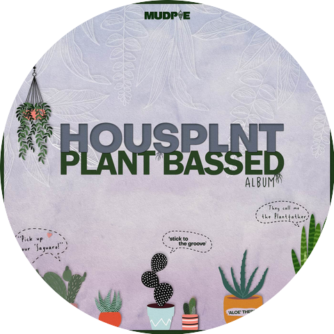 Housplnt