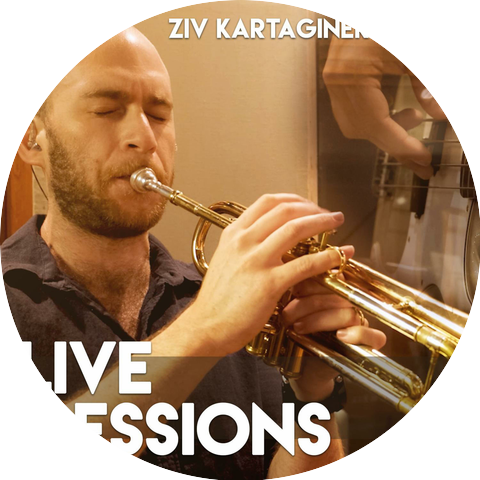 Ziv Kartaginer