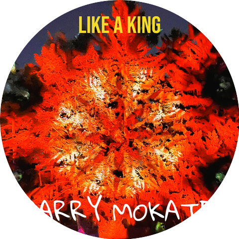 Barry Mokate