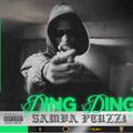 Samba Peuzzi