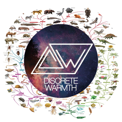 Discrete Warmth